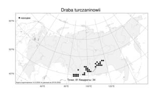 Draba turczaninowii, Крупка Турчанинова Pohle & N.Busch, Атлас флоры России (FLORUS) (Россия)