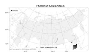 Phedimus selskanianus, Очиток Сельского (Regel & Maack) 't Hart, Атлас флоры России (FLORUS) (Россия)
