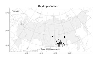 Oxytropis lanata, Остролодочник шерстистый (Pall.) DC., Атлас флоры России (FLORUS) (Россия)