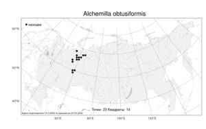 Alchemilla obtusiformis, Манжетка туповидная Alechin, Атлас флоры России (FLORUS) (Россия)