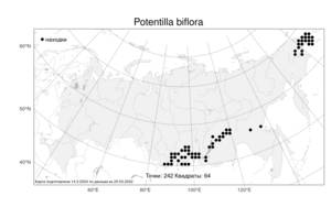 Potentilla biflora, Лапчатка двухцветковая D. F. K. Schltdl., Атлас флоры России (FLORUS) (Россия)