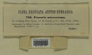 Funaria microstoma Bruch ex Schimp., Гербарий мохообразных, Мхи - Западная Европа (BEu) (Австрия)