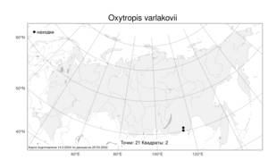 Oxytropis varlakovii, Остролодочник Варлакова Serg., Атлас флоры России (FLORUS) (Россия)