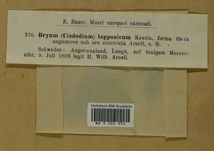 Ptychostomum salinum (I. Hagen ex Limpr.) J.R. Spence, Гербарий мохообразных, Мхи - Западная Европа (BEu) (Швеция)