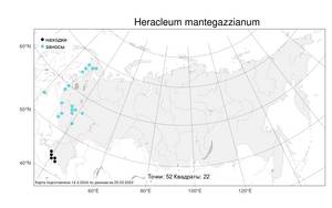 Heracleum mantegazzianum, Борщевик Мантегацци Sommier & Levier, Атлас флоры России (FLORUS) (Россия)