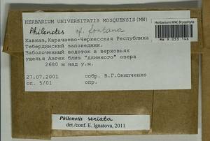 Philonotis seriata Mitt., Гербарий мохообразных, Мхи - Северный Кавказ и Предкавказье (B12) (Россия)