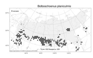 Bolboschoenus planiculmis, Клубнекамыш плоскостебельный (F.Schmidt) T.V.Egorova, Атлас флоры России (FLORUS) (Россия)
