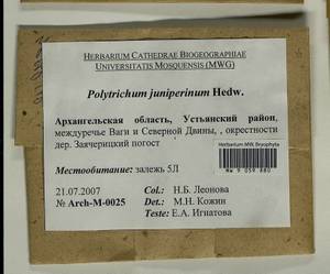 Polytrichum juniperinum Hedw., Гербарий мохообразных, Мхи - Архангельская и Вологодская области, Коми, Ненецкий АО (B7) (Россия)