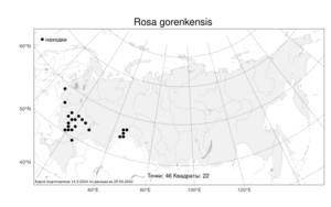 Rosa gorenkensis, Шиповник горенковский Besser, Атлас флоры России (FLORUS) (Россия)