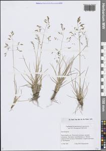 Щучка, Сибирь, Чукотка и Камчатка (S7) (Россия)