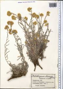 Цмин Мусы Nevski, Средняя Азия и Казахстан, Памир и Памиро-Алай (M2) (Таджикистан)