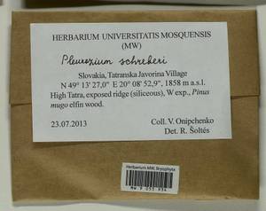 Pleurozium schreberi (Willd. ex Brid.) Mitt., Гербарий мохообразных, Мхи - Западная Европа (BEu) (Словакия)
