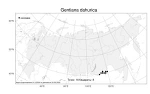 Gentiana dahurica, Горечавка даурская Fisch., Атлас флоры России (FLORUS) (Россия)