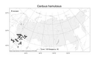 Carduus hamulosus, Чертополох крючочковый Ehrh., Атлас флоры России (FLORUS) (Россия)