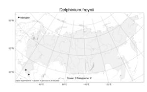 Delphinium freynii, Живокость Фрейна Conrath, Атлас флоры России (FLORUS) (Россия)