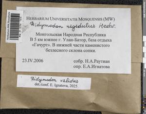 Didymodon validus Limpr., Гербарий мохообразных, Мхи - Азия (вне границ бывшего СССР) (BAs) (Монголия)