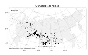 Corydalis capnoides, Хохлатка дымянкообразная (L.) Pers., Атлас флоры России (FLORUS) (Россия)