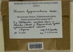 Funaria hygrometrica Hedw., Гербарий мохообразных, Мхи - Москва и Московская область (B6a) (Россия)