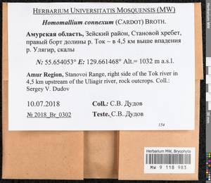 Homomallium connexum (Cardot) Broth., Гербарий мохообразных, Мхи - Дальний Восток (без Чукотки и Камчатки) (B20) (Россия)