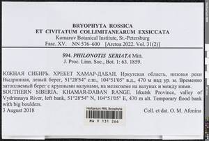 Philonotis seriata Mitt., Гербарий мохообразных, Мхи - Прибайкалье и Забайкалье (B18) (Россия)