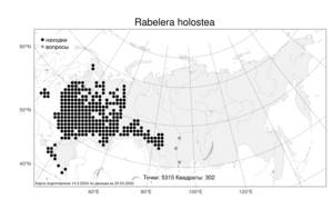 Rabelera holostea (L.) M. T. Sharples & E. A. Tripp, Атлас флоры России (FLORUS) (Россия)