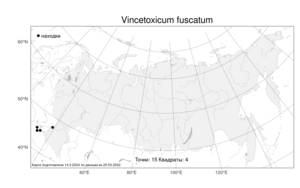 Vincetoxicum fuscatum, Ластовень малый (Hornem.) Rchb., Атлас флоры России (FLORUS) (Россия)