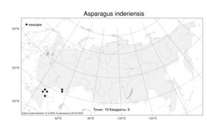 Asparagus inderiensis, Спаржа индерская Blum ex Ledeb., Атлас флоры России (FLORUS) (Россия)