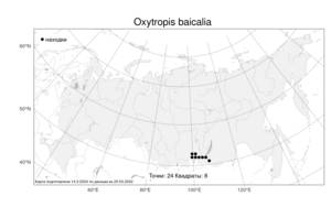 Oxytropis baicalia, Остролодочник байкальский (Pall.) Pers., Атлас флоры России (FLORUS) (Россия)