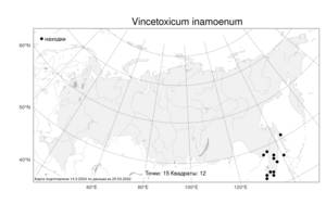Vincetoxicum inamoenum, Ластовень неприятный Maxim., Атлас флоры России (FLORUS) (Россия)