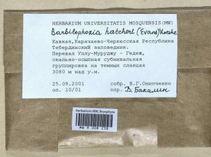 Barbilophozia hatcheri (A. Evans) Loeske, Гербарий мохообразных, Мхи - Северный Кавказ и Предкавказье (B12) (Россия)