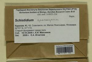 Schistidium apocarpum (Hedw.) Bruch & Schimp., Гербарий мохообразных, Мхи - Карелия, Ленинградская и Мурманская области (B4) (Россия)
