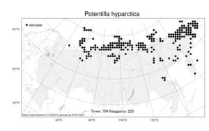 Potentilla hyparctica, Лапчатка гипарктическая Malte, Атлас флоры России (FLORUS) (Россия)