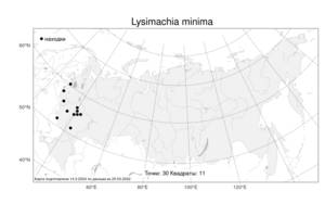Lysimachia minima (L.) U. Manns & Anderb., Атлас флоры России (FLORUS) (Россия)