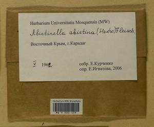 Abietinella abietina (Hedw.) M. Fleisch., Гербарий мохообразных, Мхи - Крым (B3a) (Россия)