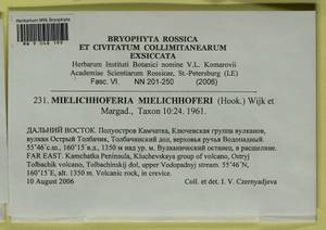 Mielichhoferia mielichhoferiana (Funck) Loeske, Гербарий мохообразных, Мхи - Чукотка и Камчатка (B21) (Россия)