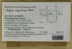 Bryum argenteum Hedw., Гербарий мохообразных, Мхи - Центральное Нечерноземье (B6) (Россия)
