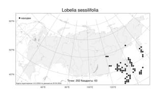 Lobelia sessilifolia, Лобелия сидячелистная Lamb., Атлас флоры России (FLORUS) (Россия)