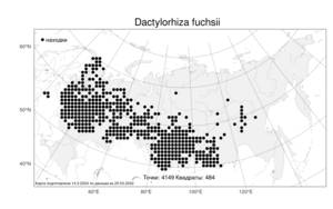 Dactylorhiza fuchsii, Dactylorhiza maculata subsp. fuchsii (Druce) Hyl., Атлас флоры России (FLORUS) (Россия)