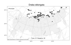 Draba oblongata, Крупка продолговатоплодная R.Br. ex DC., Атлас флоры России (FLORUS) (Россия)