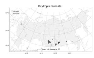 Oxytropis muricata, Остролодочник мягкоигольчатый (Pall.) DC., Атлас флоры России (FLORUS) (Россия)