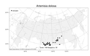 Artemisia dolosa, Полынь обманчивая Krasch., Атлас флоры России (FLORUS) (Россия)