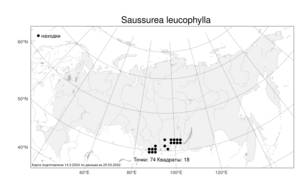 Saussurea leucophylla, Соссюрея белолистная Schrenk, Атлас флоры России (FLORUS) (Россия)