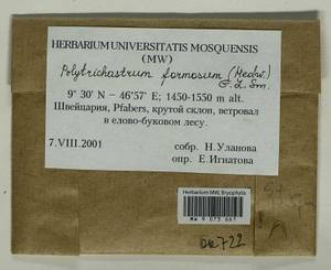 Polytrichum formosum Hedw., Гербарий мохообразных, Мхи - Западная Европа (BEu) (Швейцария)