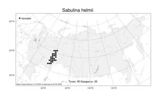 Sabulina helmii, Минуарция Гельма (Fisch. ex Ser.) Dillenb. & Kadereit, Атлас флоры России (FLORUS) (Россия)