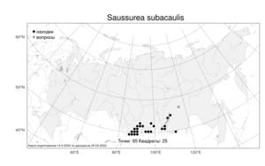 Saussurea subacaulis, Соссюрея бесстебельная (Ledeb.) Serg., Атлас флоры России (FLORUS) (Россия)