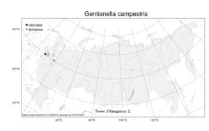 Gentianella campestris, Горечавочка равнинная (L.) Börner, Атлас флоры России (FLORUS) (Россия)
