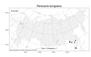 Persicaria bungeana (Turcz.) Nakai ex Mori, Атлас флоры России (FLORUS) (Россия)