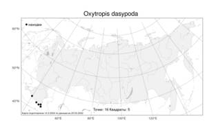 Oxytropis dasypoda, Остролодочник шерстеногий Rupr. ex Boiss., Атлас флоры России (FLORUS) (Россия)