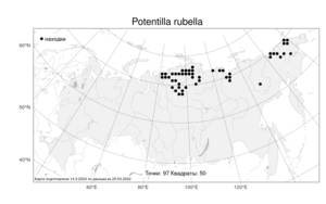 Potentilla rubella, Лапчатка красноватая T. J. Sørensen, Атлас флоры России (FLORUS) (Россия)