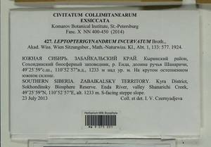 Leptopterigynandrum incurvatum Broth., Гербарий мохообразных, Мхи - Прибайкалье и Забайкалье (B18) (Россия)